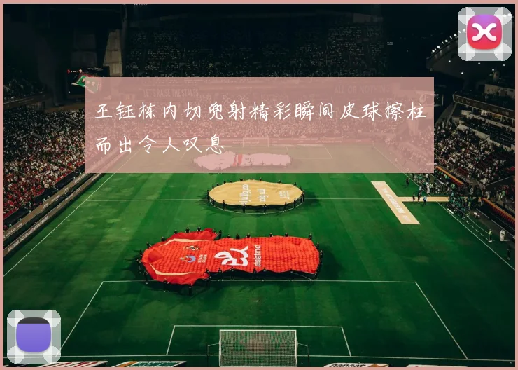 王钰栋内切兜射精彩瞬间皮球擦柱而出令人叹息