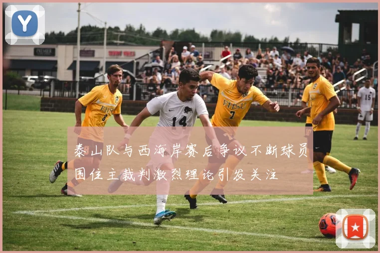 泰山队与西海岸赛后争议不断球员围住主裁判激烈理论引发关注