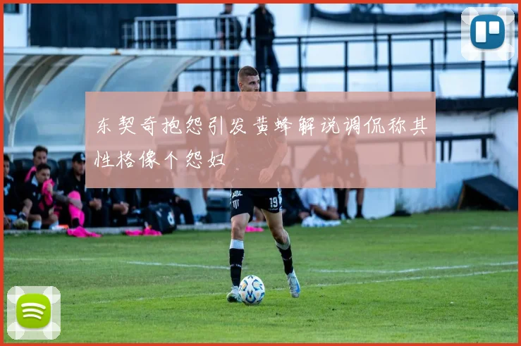东契奇抱怨引发黄蜂解说调侃称其性格像个怨妇
